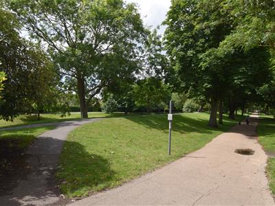 Picture 29